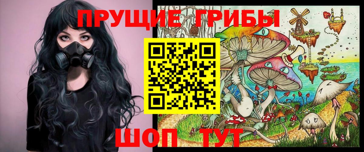 Псилоцибиновые грибы Cubensis  Псилоцибиновые грибы прущие грибы  Вход с VPN  Ростов-на-Дону 