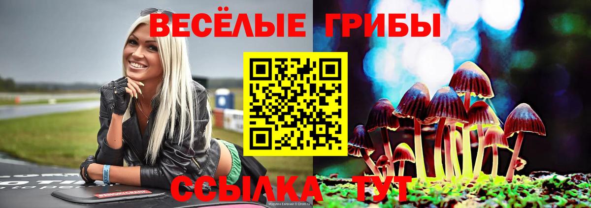 Галлюциногенные грибы Psilocybine cubensis Ростов-на-Дону